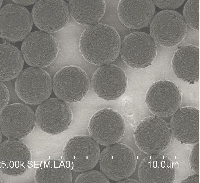 甲苯磺?；胖?供應信息 食品科技網