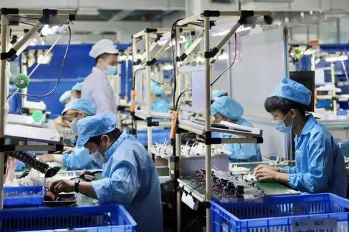 三服務三保障,火炬區(qū)支持企業(yè)快速復工復產(chǎn)